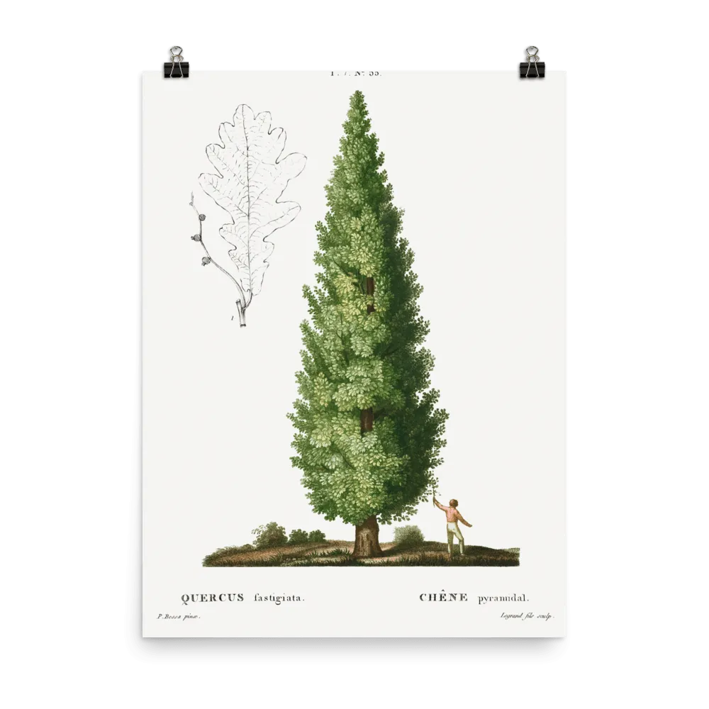 "Boy and Tree" Art Print