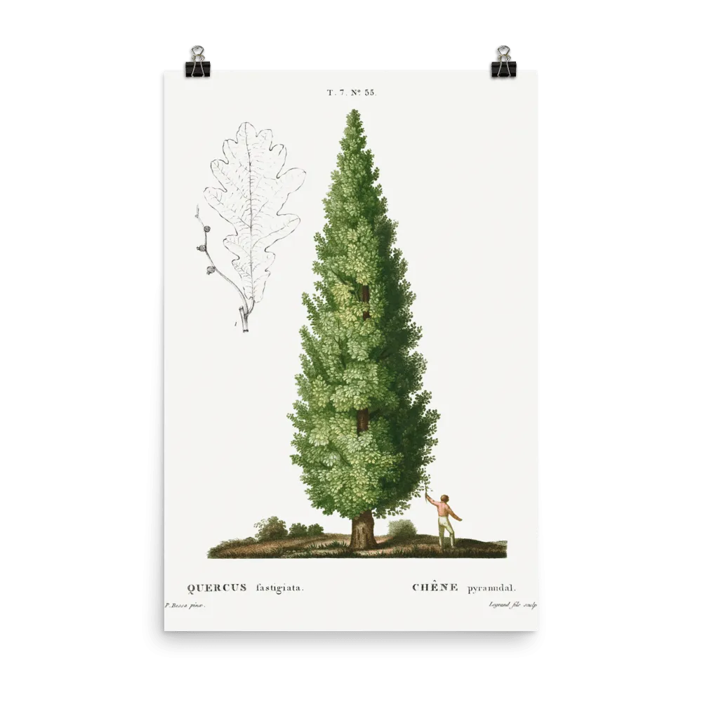 "Boy and Tree" Art Print