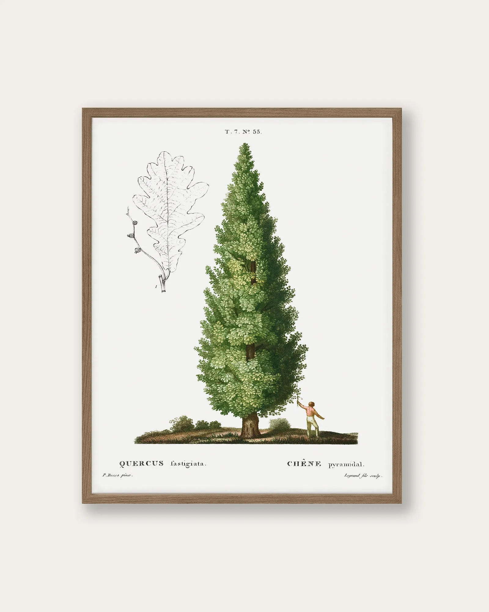 "Boy and Tree" Art Print