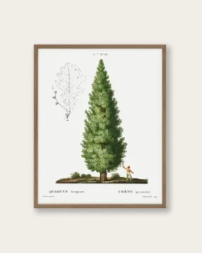 "Boy and Tree" Art Print