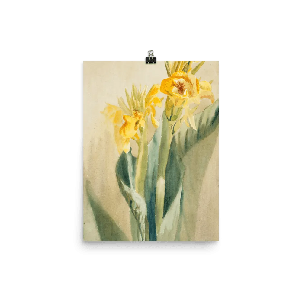 "Daffodil 1915" Art Print